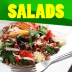 Logo of Salad Recipes android Application 